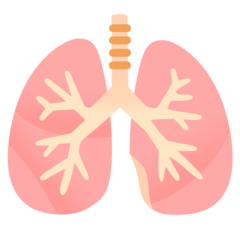 How Lungs emoji looks on Google.