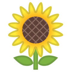 How Sunflower emoji looks on Google.