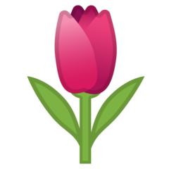 Hoe Tulp emoji eruit ziet op Google.