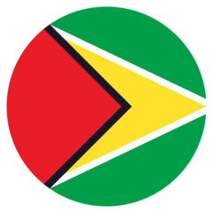 How Flag: Guyana emoji looks on Joypixels.