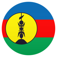 Bagaimana emoji Bendera: New Caledonia kelihatan di Joypixels.