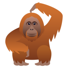 Bagaimana Orangutan emoji terlihat di Joypixels.