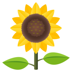 How Sunflower emoji looks on Joypixels.