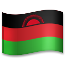 Hvordan Flag: Malawi emoji ser ud på Lg.