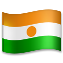 Bagaimana Flag: Niger emoji terlihat di Lg.