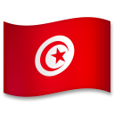 Bagaimana Flag: Tunisia emoji terlihat di Lg.