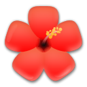 Bagaimana Hibiscus emoji terlihat di Lg.