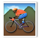 How Person Mountain Biking: Dark Skin Tone emoji looks on Lg.