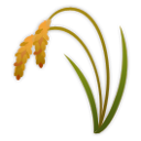 A quoi ressemblent les emoji Plant de riz sur Lg.