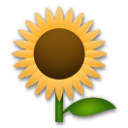 Bagaimana Sunflower emoji terlihat di Lg.