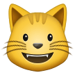 Como o emoji do Rosto de gato sorrindo é exibido no Samsung.