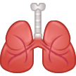 How Lungs emoji looks on Samsung.