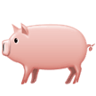 How Pig emoji looks on Samsung.