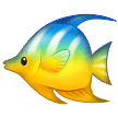 Bagaimana Ikan tropis emoji terlihat di Samsung.