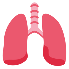 How Lungs emoji looks on Twitter.