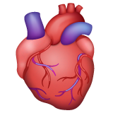 How Anatomical Heart emoji looks on Whatsapp. 