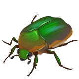 How Beetle emoji looks on Whatsapp.