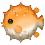 Bagaimana Blowfish emoji terlihat di Whatsapp.