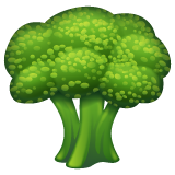 How Broccoli emoji looks on Whatsapp.