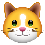 Bagaimana Cat Face emoji terlihat di Whatsapp.