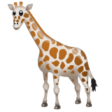 Bagaimana Giraffe emoji terlihat di Whatsapp.