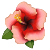 How Hibiscus emoji looks on Whatsapp.