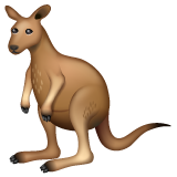 Bagaimana Kangaroo emoji terlihat di Whatsapp.