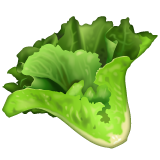 How Leafy Green emoji looks on Whatsapp.