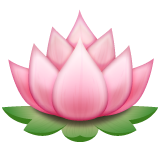 Hoe Lotus emoji eruit ziet op Whatsapp.