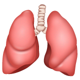 How Lungs emoji looks on Whatsapp.