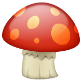 Bagaimana Mushroom emoji terlihat di Whatsapp.