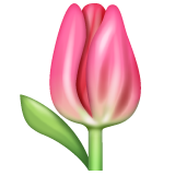 Hoe Tulp emoji eruit ziet op Whatsapp.